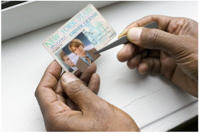 Identity Theft License Pic