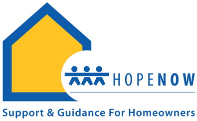 Large HOPE NOW Logo