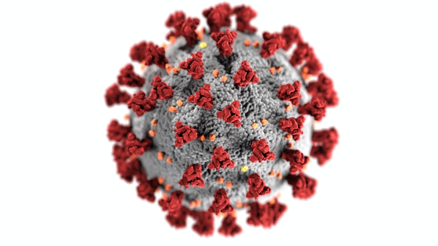 Coronavirus cell.