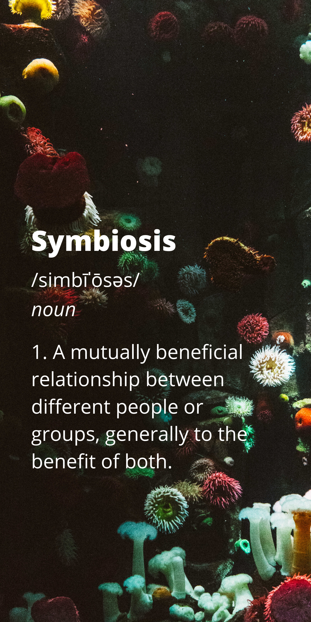 Symbiosis Creative