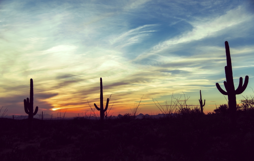 Arizona at Dusk