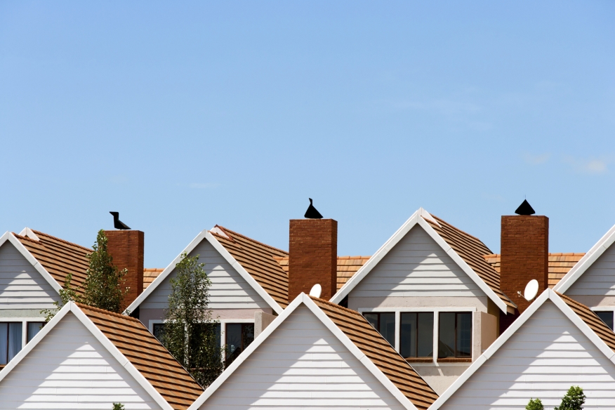 Houses Lined Up/Credit: karelnoppe