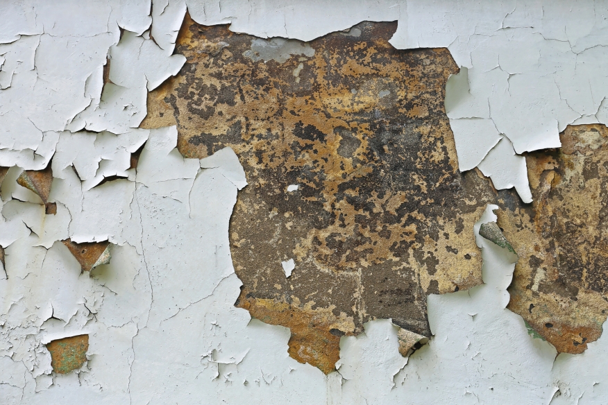 Lead Paint Chipping