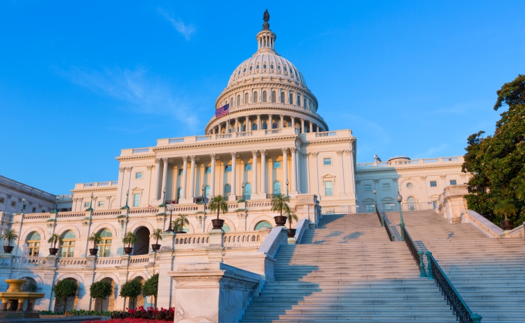 Congressional Steps Pic