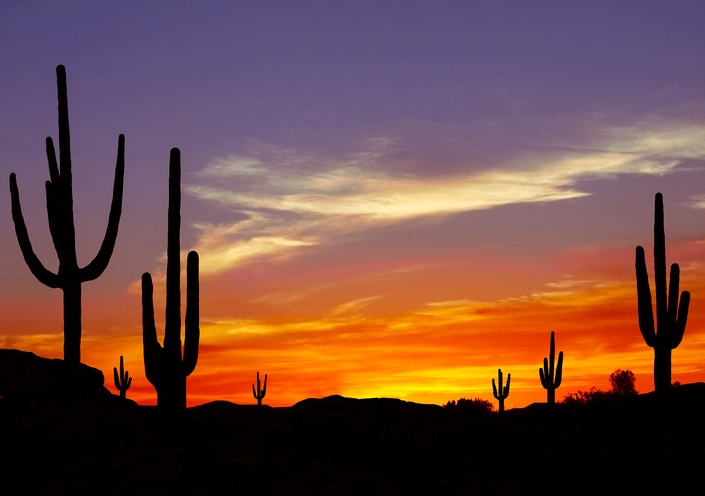 Ernest Jones Jr. is a Senior Mortgage Consultant with Lend Smart Mortgage LLC in Tucson, Ariz., and President of the Arizona Association of Mortgage Professionals