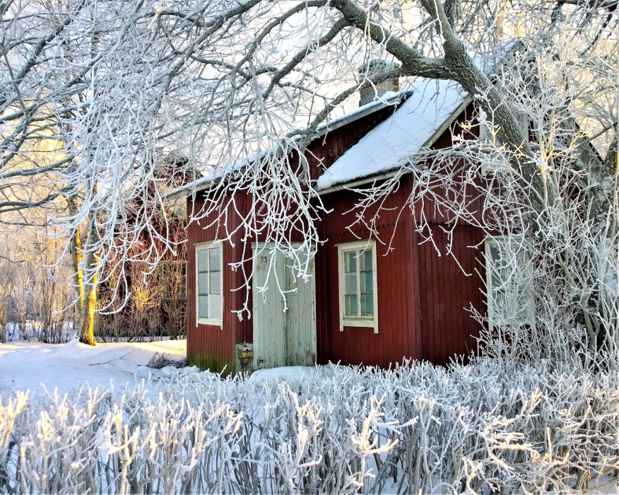 Winter House