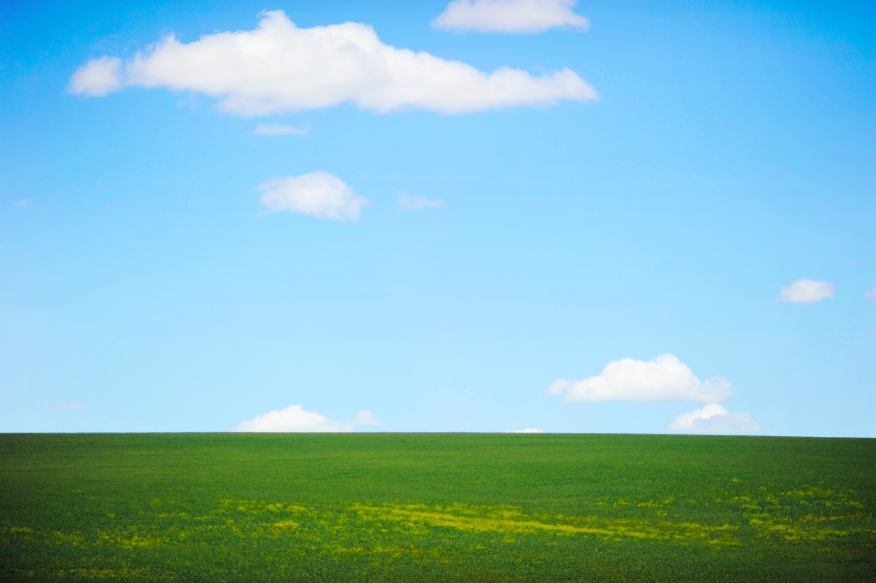 Green field, blue sky and white clouds. 
