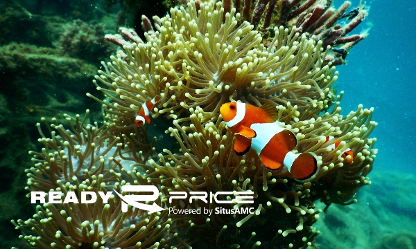 Reef Banner ReadyPrice