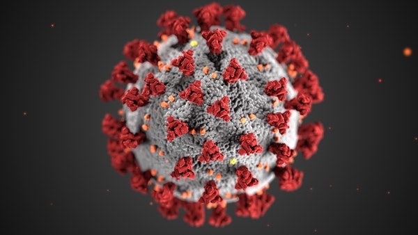 COVID-19 virus strain.