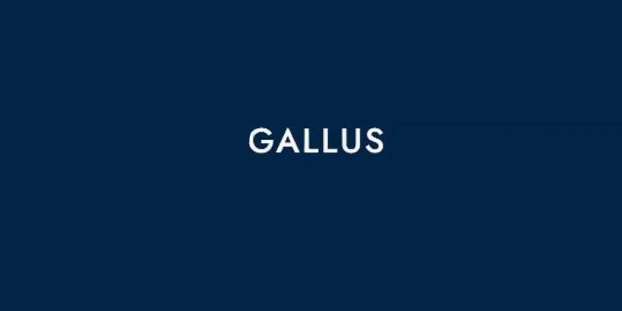 Gallus Insights Logo