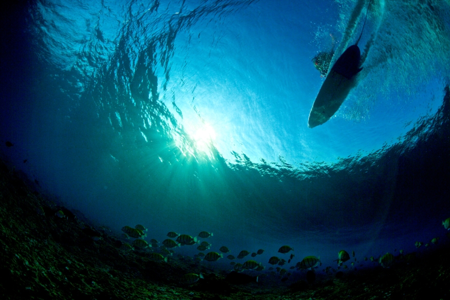 A surfer viewed from below, underwater, with fish around. 