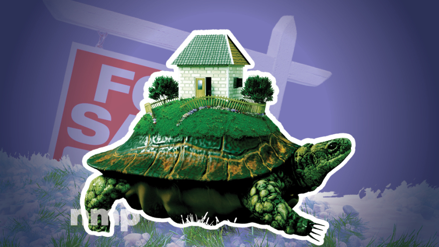 Housing Market Crawls Along