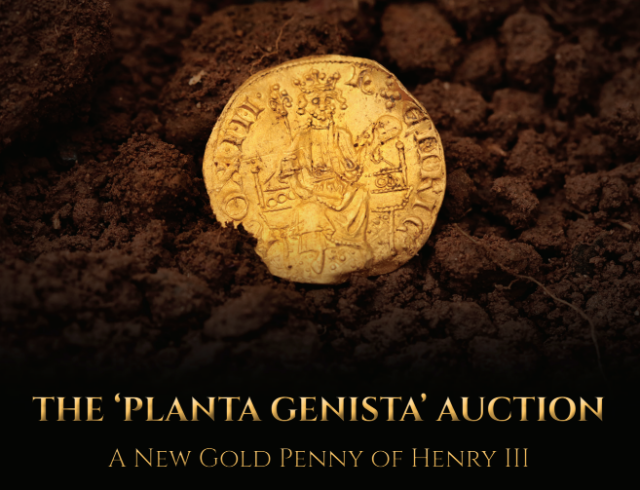 Planta Genista Auction